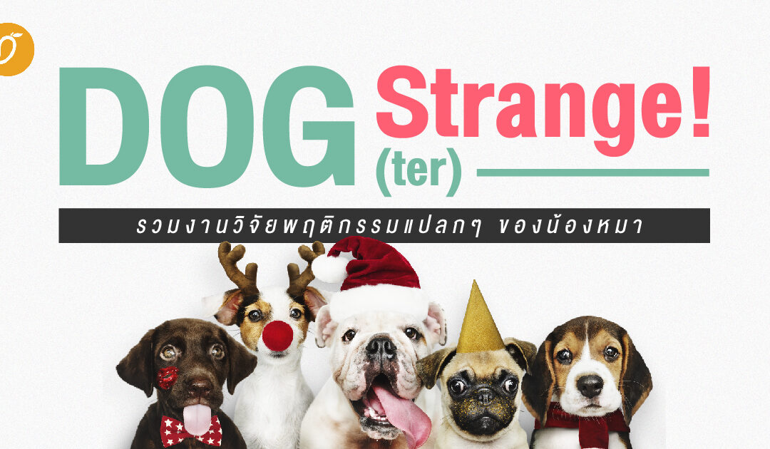 Dog(ter) Strange! รวมงานวิจัยพฤติกรรมแปลกๆ ของน้องหมา