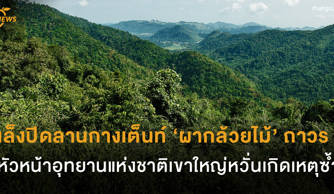 เล็งปิดลานกางเต็นท์ ‘ผากล้วยไม้’ ถาวร! หัวหน้าอุทยานแห่งชาติเขาใหญ่หวั่นเกิดเหตุซ้ำ