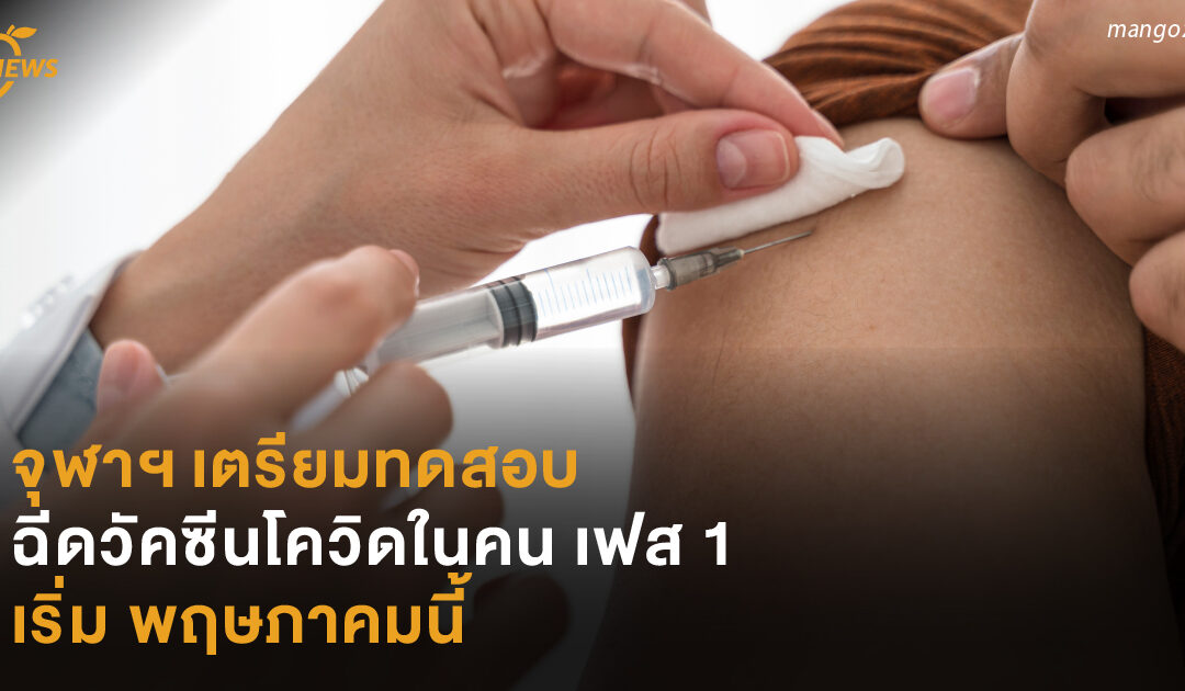 จุฬาฯ เตรียมทดสอบ  ฉีดวัคซีนโควิดในคนเฟส 1  เริ่ม พฤษภาคมนี้ 