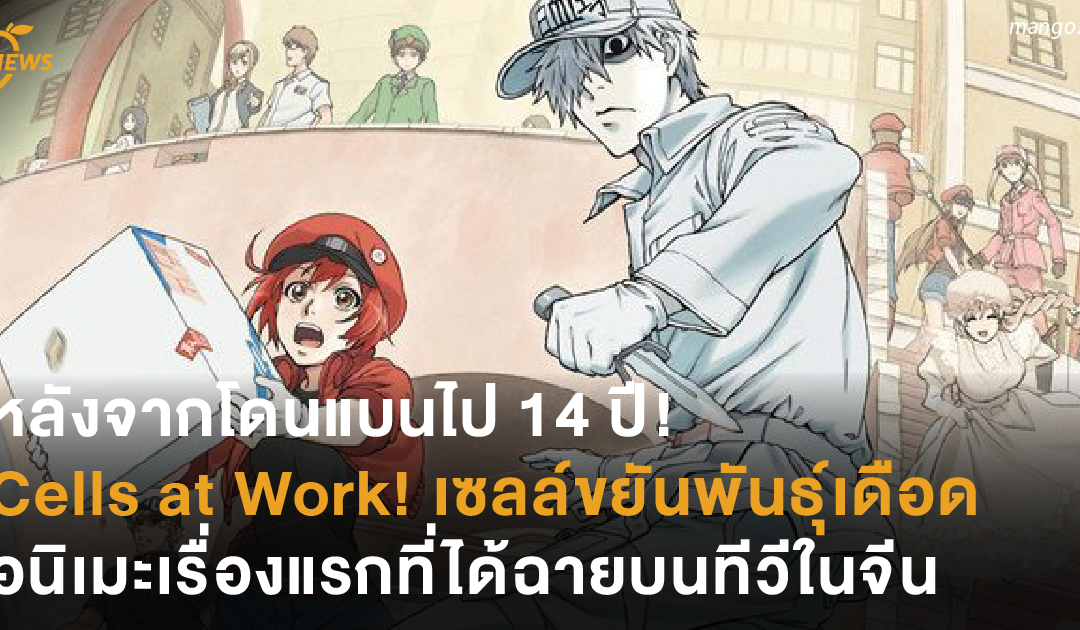 หลังจากโดนแบนไป 14 ปี! Cells at Work! เซลล์ขยัน พันธุ์เดือด อนิเมะเรื่องแรกที่ได้ฉายบนทีวีในจีน