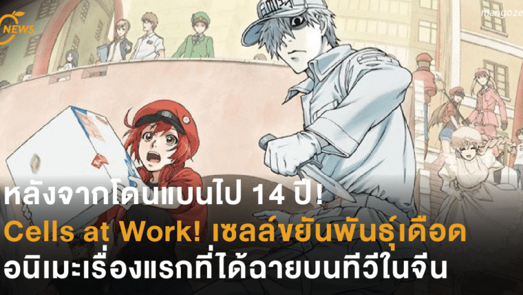 หลังจากโดนแบนไป 14 ปี! Cells at Work! เซลล์ขยัน พันธุ์เดือด อนิเมะเรื่องแรกที่ได้ฉายบนทีวีในจีน