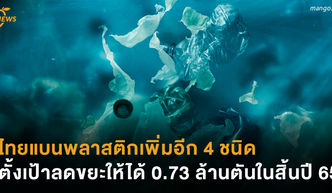 ไทยแบนพลาสติกเพิ่มอีก 4 ชนิด ตั้งเป้าลดขยะให้ได้ 0.73 ล้านตันในสิ้นปี 65