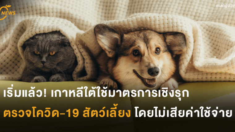 เริ่มแล้ว! เกาหลีใต้ใช้มาตรการเชิงรุก ตรวจโควิด-19 สัตว์เลี้ยงโดยไม่เสียค่าใช้จ่าย