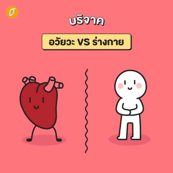 1 ร่างกายช่วยได้ 8 ชีวิต กับเหตุผลดี ๆ ที่ทุกคนควรบริจาคอวัยวะ 1 ร่างกายช่วยได้ 8 ชีวิต กับเหตุผลดี ๆ ที่ทุกคนควรบริจาคอวัยวะ