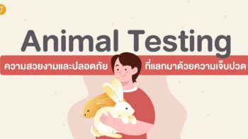 Animal Testing ความสวยงามและปลอดภัย ที่แลกมาด้วยความเจ็บปวด