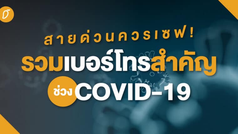 สายด่วนควรเซฟ! รวมเบอร์โทรสำคัญช่วง Covid-19