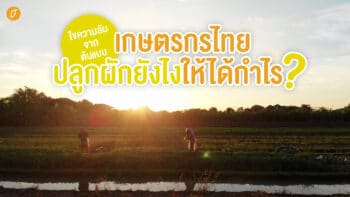 ไขความลับจากต้นแบบ เกษตรกรไทยปลูกผักยังไงให้ได้กำไร