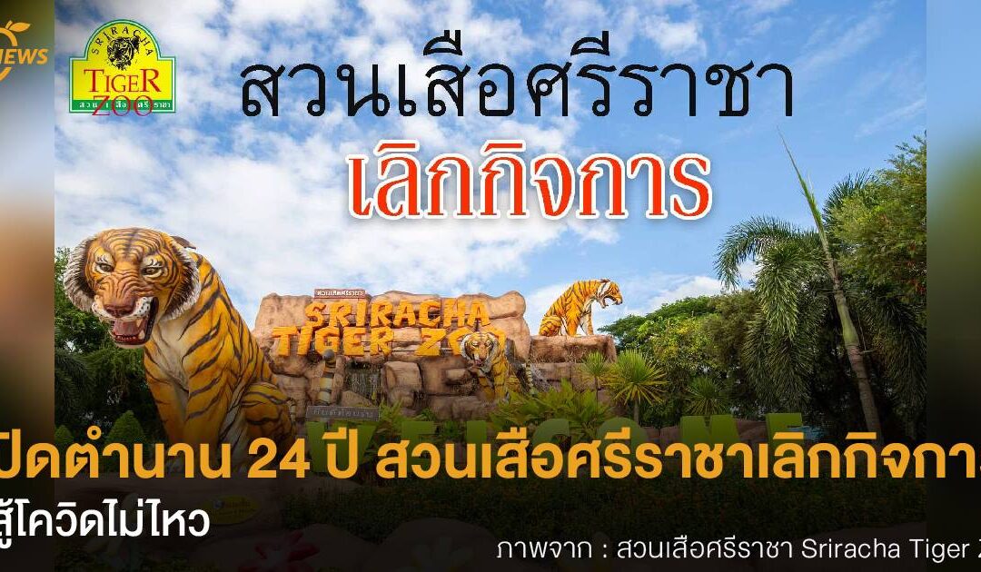 ปิดตำนาน 24 ปี สวนเสือศรีราชาเลิกกิจการสู้โควิดไม่ไหว