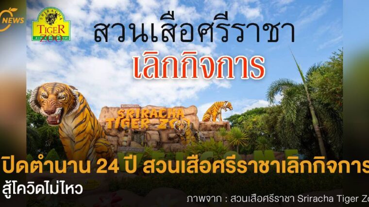 ปิดตำนาน 24 ปี สวนเสือศรีราชาเลิกกิจการสู้โควิดไม่ไหว