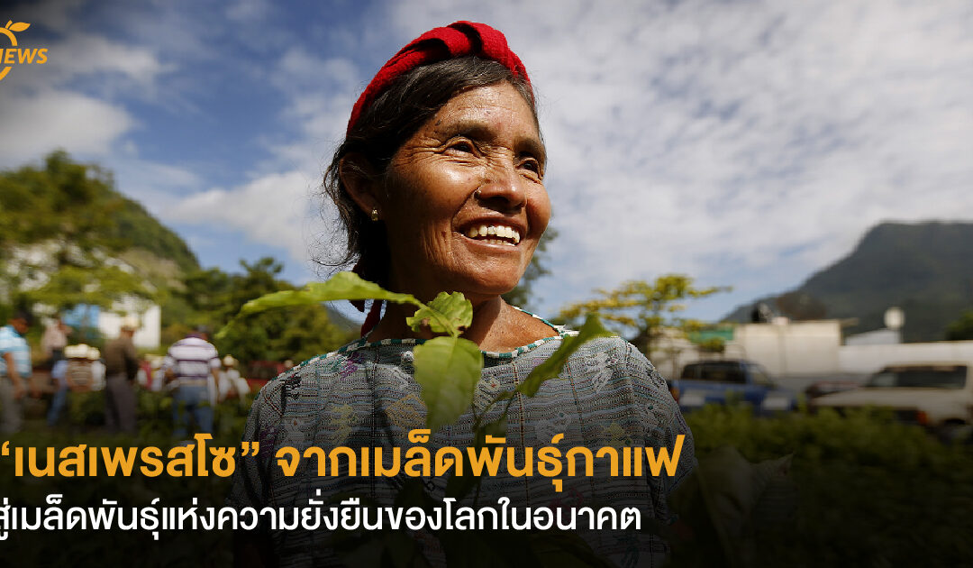 “เนสเพรสโซ” จากเมล็ดพันธุ์กาแฟสู่เมล็ดพันธุ์แห่งความยั่งยืนของโลกในอนาคต