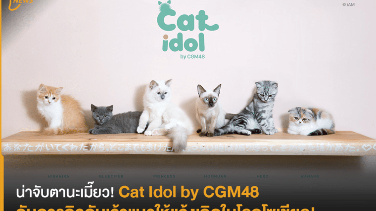 น่าจับตานะเมี๊ยว! Cat Idol by CGM48 กับภารกิจดันเจ้าแมวให้แจ้งเกิดในโลกโซเชียล!