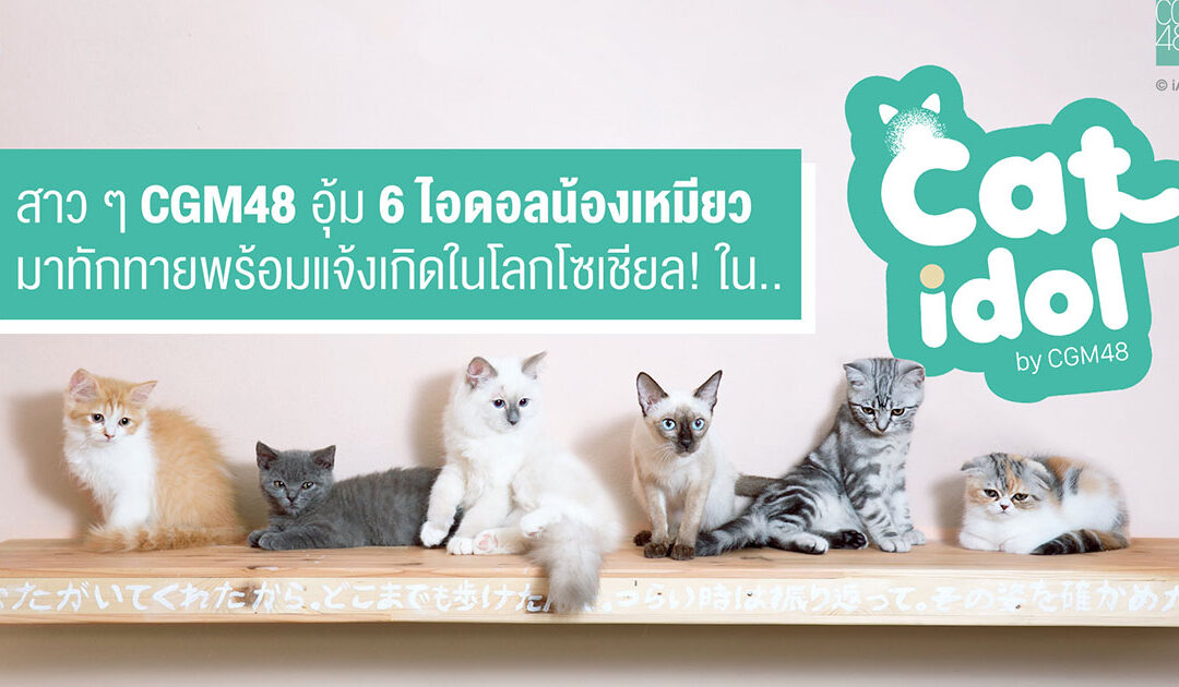 สาว ๆ CGM48 อุ้ม 6 ไอดอลน้องเหมียว มาทักทายพร้อมแจ้งเกิดในโลกโซเชียล!