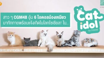 สาว ๆ CGM48 อุ้ม 6 ไอดอลน้องเหมียว มาทักทายพร้อมแจ้งเกิดในโลกโซเชียล!