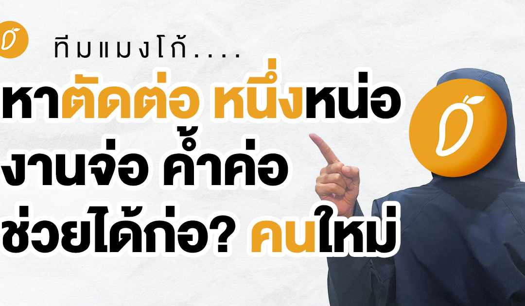 Mango Zero รับสมัคร Video Editor 1 ตำแหน่ง ขอแค่มีสกิลติดตัวตามนี้ 