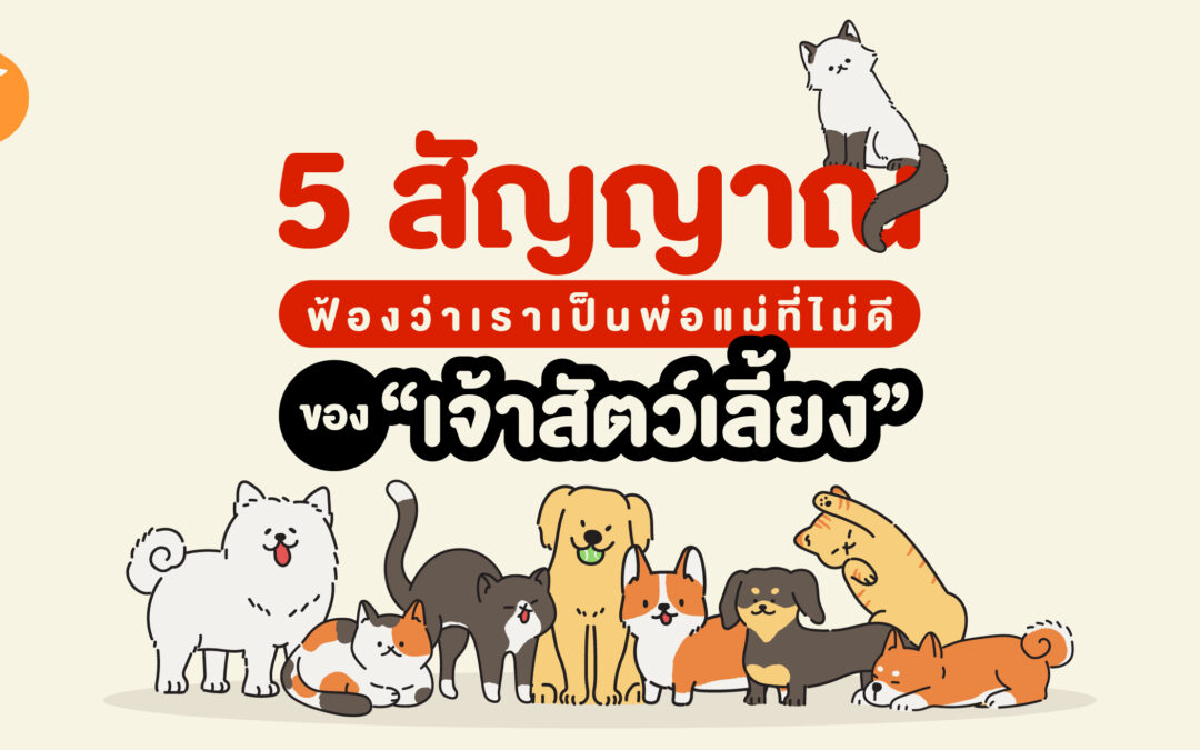 5 สัญญาณฟ้องว่าเราเป็นพ่อแม่ที่ไม่ดีของ “เจ้าสัตว์เลี้ยง”