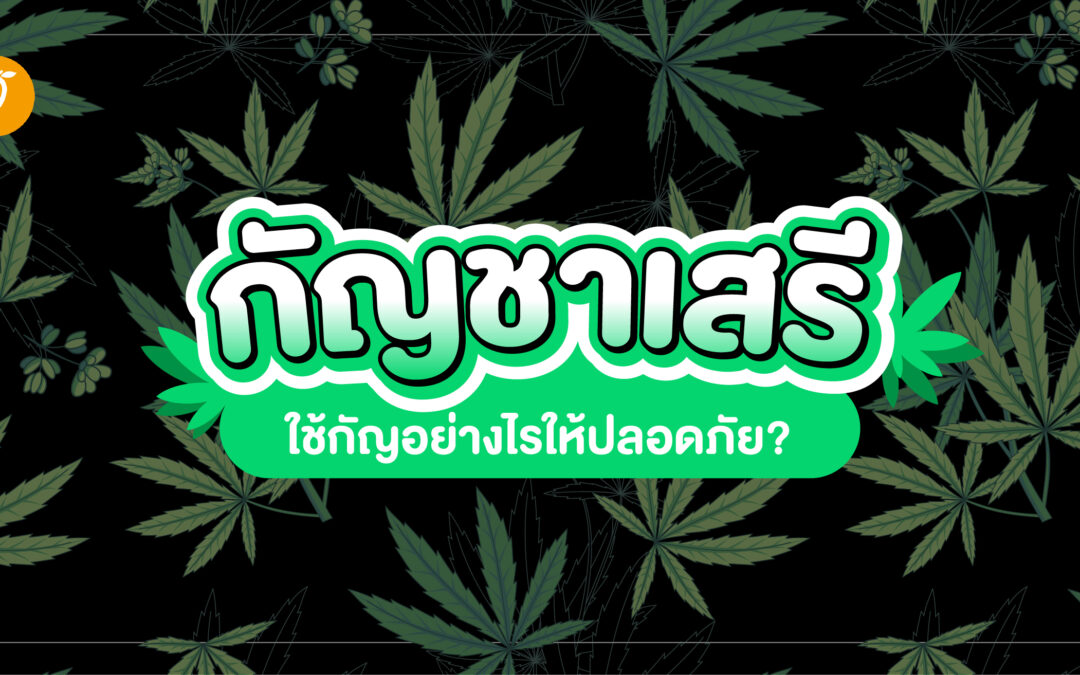 “กัญชาเสรี” ใช้กัญอย่างไรให้ปลอดภัย?