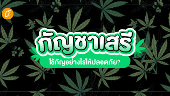 “กัญชาเสรี” ใช้กัญอย่างไรให้ปลอดภัย?