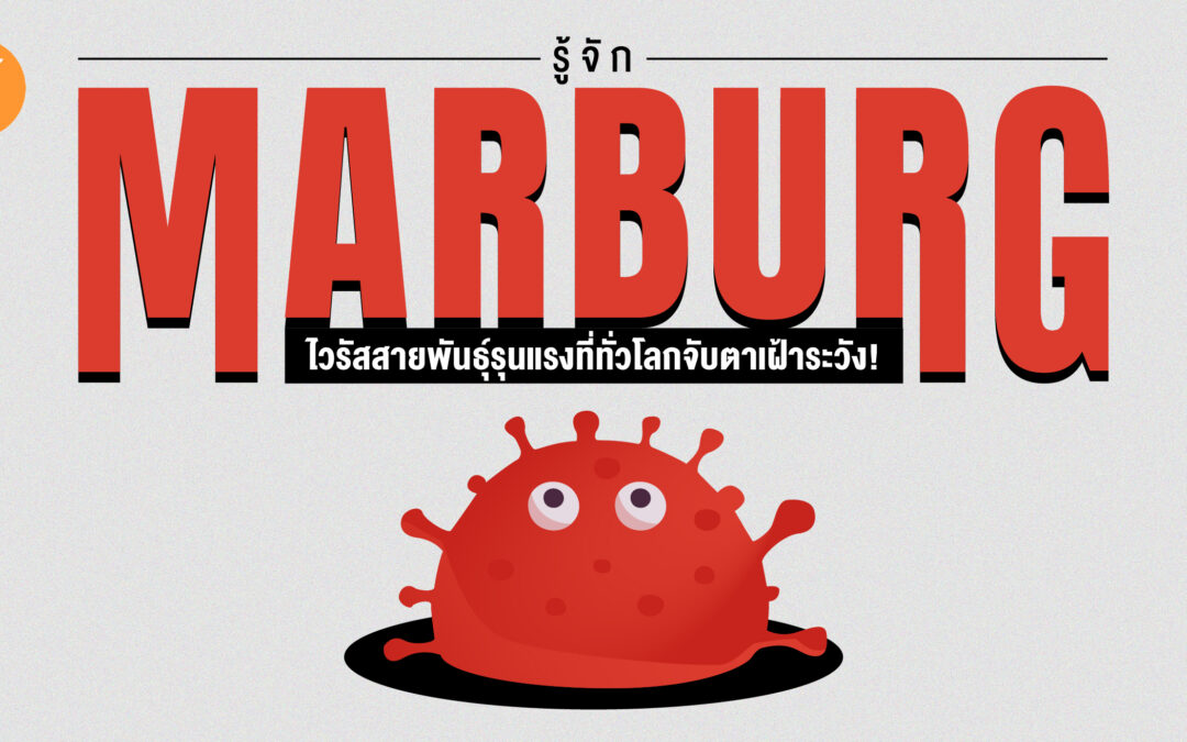 รู้จัก “มาร์เบิร์ก” ไวรัสสายพันธุ์รุนแรงที่ทั่วโลกจับตาเฝ้าระวัง!