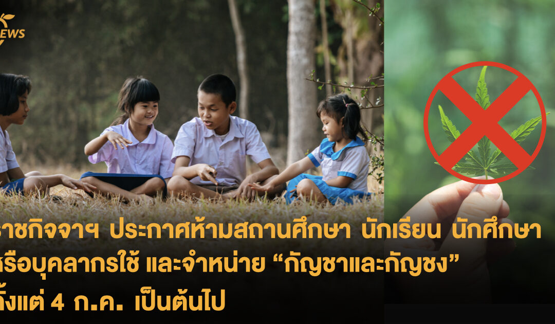 ราชกิจจาฯ ประกาศ ห้ามสถานศึกษา นักเรียน นักศึกษา หรือบุคลากรใช้และห้ามจำหน่าย “กัญชาและกัญชง” ตั้งแต่ 4 ก.ค. เป็นต้นไป