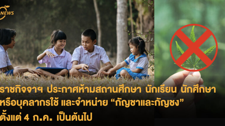 ราชกิจจาฯ ประกาศ ห้ามสถานศึกษา นักเรียน นักศึกษา หรือบุคลากรใช้และห้ามจำหน่าย “กัญชาและกัญชง” ตั้งแต่ 4 ก.ค. เป็นต้นไป