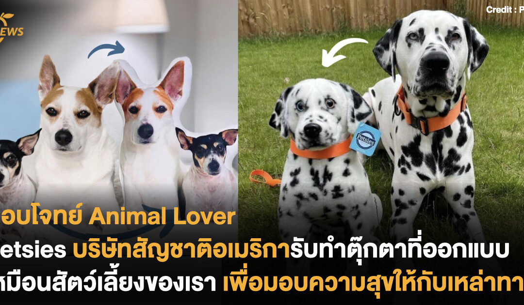 Petsies บริษัทสัญชาติอเมริการับทำตุ๊กตาที่ออกแบบเหมือนสัตว์เลี้ยงของเรา เพื่อมอบความสุขให้กับเหล่าทาส