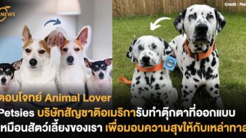 Petsies บริษัทสัญชาติอเมริการับทำตุ๊กตาที่ออกแบบเหมือนสัตว์เลี้ยงของเรา เพื่อมอบความสุขให้กับเหล่าทาส