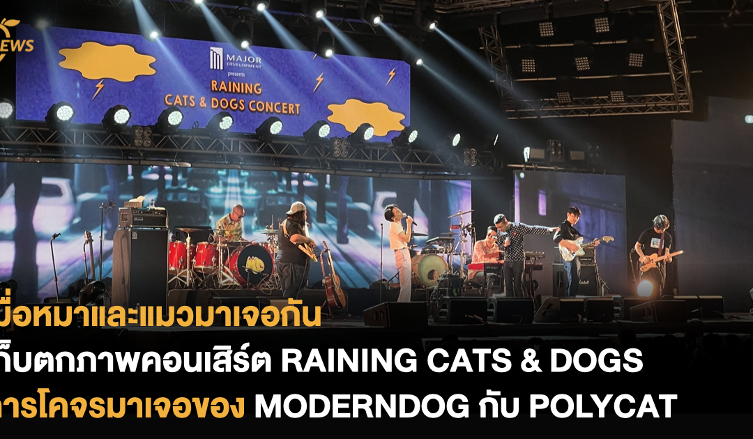 เมื่อหมาและแมวมาเจอกัน เก็บตกภาพบรรยากาศคอนเสิร์ต RAINING CATS & DOGS การโคจรมาเจอของ MODERNDOG กับ POLYCAT