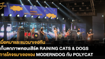 เมื่อหมาและแมวมาเจอกัน เก็บตกภาพบรรยากาศคอนเสิร์ต RAINING CATS & DOGS การโคจรมาเจอของ MODERNDOG กับ POLYCAT