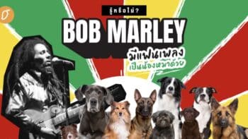 รู้หรือไม่? Bob Marley มีแฟนเพลงเป็นน้องหมาด้วย