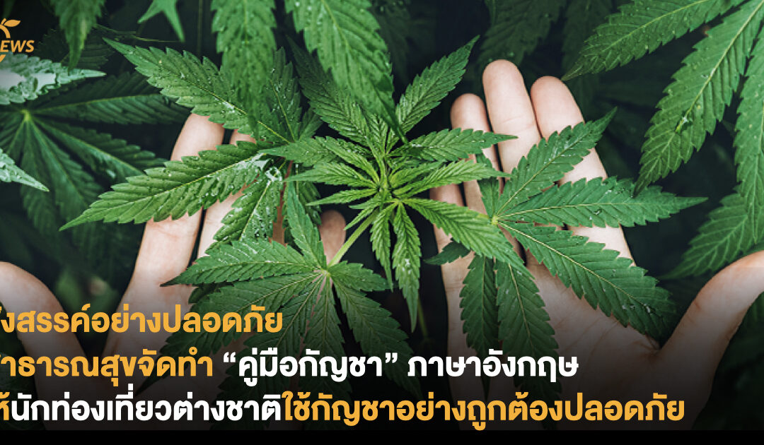 สังสรรค์อย่างปลอดภัย สาธารณสุขจัดทำ “คู่มือกัญชา” ภาษาอังกฤษ ให้นักท่องเที่ยวต่างชาติใช้กัญชาอย่างถูกต้องปลอดภัย