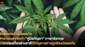 สังสรรค์อย่างปลอดภัย สาธารณสุขจัดทำ “คู่มือกัญชา” ภาษาอังกฤษ ให้นักท่องเที่ยวต่างชาติใช้กัญชาอย่างถูกต้องปลอดภัย