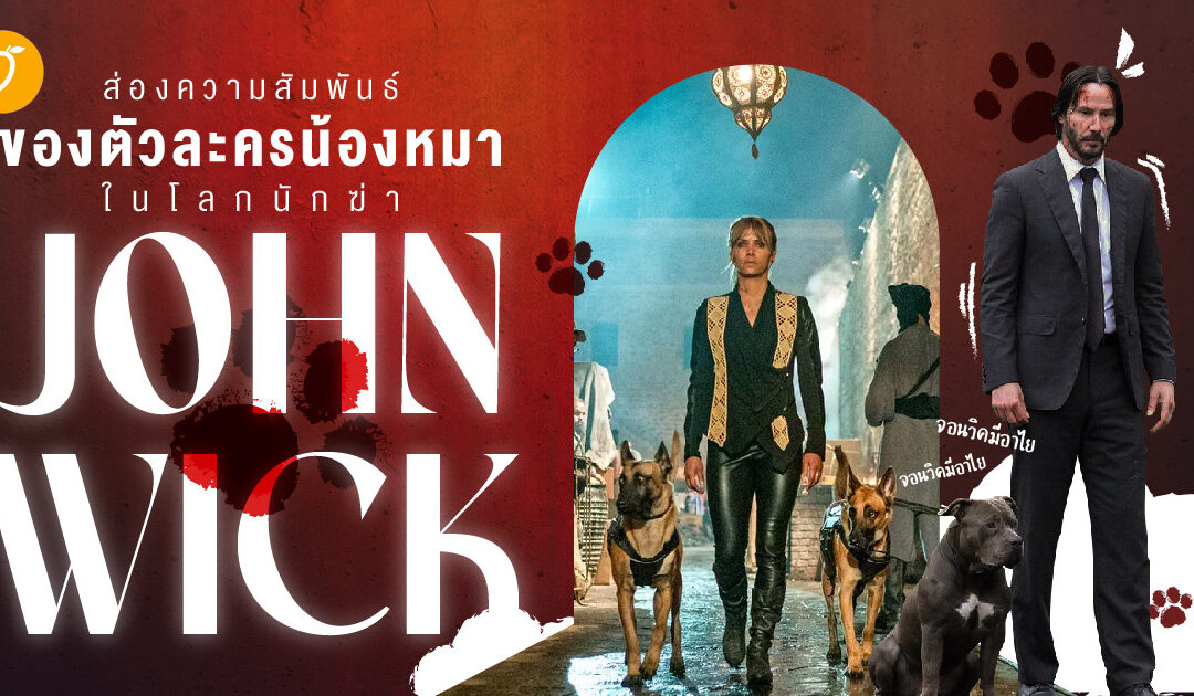 ส่องความสัมพันธ์ของตัวละครน้องหมา ในโลกนักฆ่า John Wick