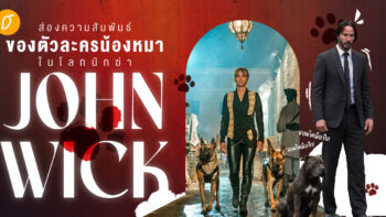 ส่องความสัมพันธ์ของตัวละครน้องหมา ในโลกนักฆ่า John Wick