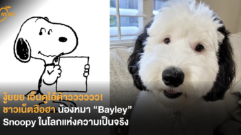 งู้ยยย เอ็นดูไอ้ต้าวววววว! ชาวเน็ตฮือฮา แห่เอ็นดูน้องหมา “Bayley” Snoopy ในโลกแห่งความเป็นจริง