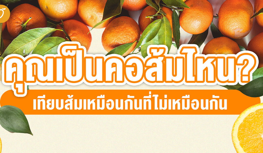คุณเป็นคอส้มไหน? เทียบส้มเหมือนกันที่ไม่เหมือนกัน
