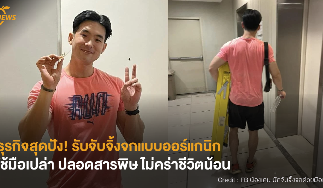 [NEWS] ธุรกิจสุดปัง! รับจับจิ้งจกแบบออร์แกนิก ใช้มือเปล่า ปลอดสารพิษ ไม่คร่าชีวิตน้อน