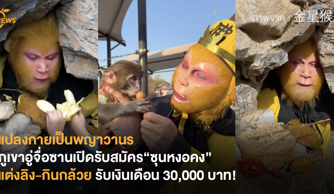 แปลงกายเป็นพญาวานร ภูเขาอู่จื่อซานเปิดรับสมัคร“ซุนหงอคง” แต่งลิง-กินกล้วย รับเงินเดือน 30,000 บาท!
