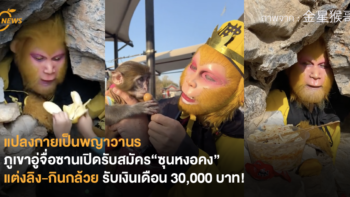 แปลงกายเป็นพญาวานร ภูเขาอู่จื่อซานเปิดรับสมัคร“ซุนหงอคง” แต่งลิง-กินกล้วย รับเงินเดือน 30,000 บาท!