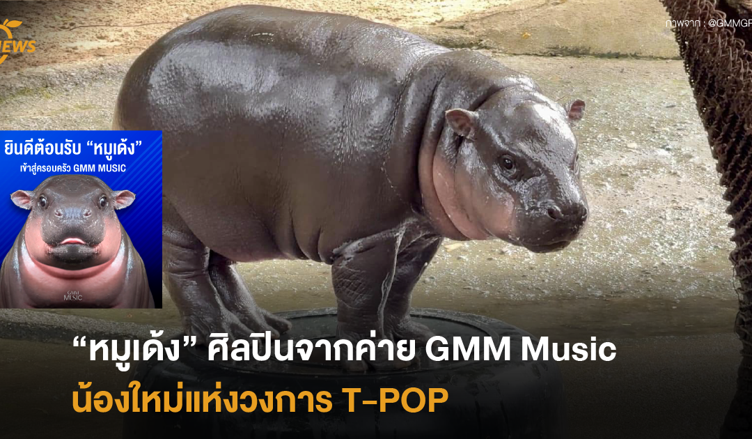 “หมูเด้ง” ศิลปินจากค่าย “GMM Music”  น้องใหม่แห่งวงการ T-POP