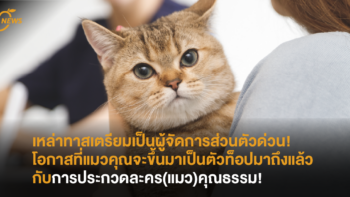 เหล่าทาสเตรียมเป็นผู้จัดการส่วนตัวด่วน! โอกาสที่แมวคุณจะขึ้นมาเป็นตัวท็อปมาถึงแล้วกับการประกวดละคร(แมว)คุณธรรม!
