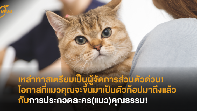 เหล่าทาสเตรียมเป็นผู้จัดการส่วนตัวด่วน! โอกาสที่แมวคุณจะขึ้นมาเป็นตัวท็อปมาถึงแล้วกับการประกวดละคร(แมว)คุณธรรม!