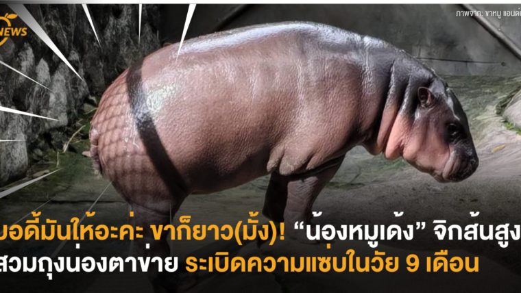 บอดี้มันให้อะค่ะ ขาก็ยาว(มั้ง)! “น้องหมูเด้ง” จิกส้นสูงสวมถุงน่องตาข่าย ระเบิดความแซ่บในวัย 9 เดือน