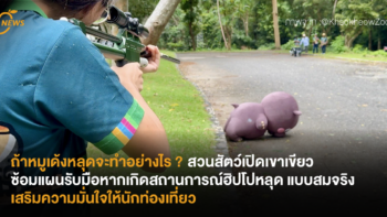 ถ้าหมูเด้งหลุดจะทำอย่างไร ? สวนสัตว์เปิดเขาเขียวซ้อมแผนรับมือหากเกิดสถานการณ์ฮิปโปหลุด แบบสมจริง เสริมความมั่นใจให้นักท่องเที่ยว