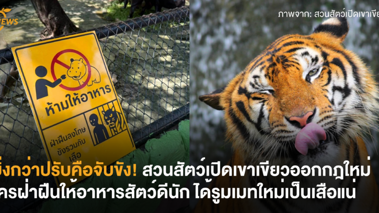 ยิ่งกว่าปรับคือจับขัง! สวนสัตว์เปิดเขาเขียวออกกฎใหม่ ใครฝ่าฝืนให้อาหารสัตว์ดีนัก ได้รูมเมทใหม่เป็นเสือแน่