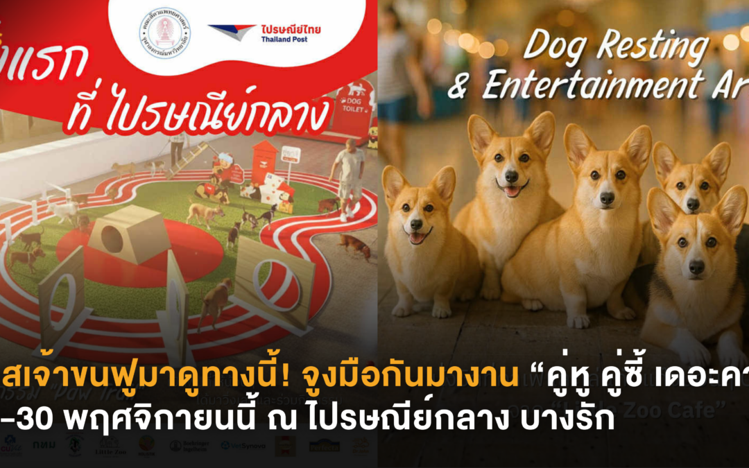 ทาสเจ้าขนฟูมาดูทางนี้! จูงมือกันมางาน “คู่หู คู่ซี้ เดอะคาเฟ่” 29-30 พฤศจิกายนนี้ ณ ไปรษณีย์กลาง บางรัก