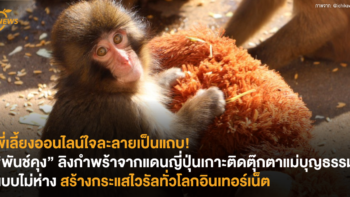 พี่เลี้ยงออนไลน์ใจละลายเป็นแถบ! “พันช์คุง” ลิงกำพร้าจากแดนญี่ปุ่น สร้างกระแสไวรัลทั่วโลกอินเทอร์เน็ตจากการมีตุ๊กตาเป็นแม่บุญธรรม