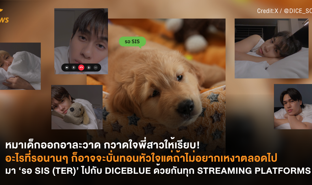 หมาเด็กออกอาละวาด กวาดใจพี่สาวให้เรียบ! อะไรที่รอนานๆ ก็อาจจะบั่นทอนหัวใจ แต่ถ้าไม่อยากเหงาตลอดไปมา ‘รอ SIS (TER)’ ไปกับ DICEBLUE ด้วยกันทุก STREAMING PLATFORMS!