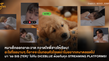 หมาเด็กออกอาละวาด กวาดใจพี่สาวให้เรียบ! อะไรที่รอนานๆ ก็อาจจะบั่นทอนหัวใจ แต่ถ้าไม่อยากเหงาตลอดไปมา ‘รอ SIS (TER)’ ไปกับ DICEBLUE ด้วยกันทุก STREAMING PLATFORMS!