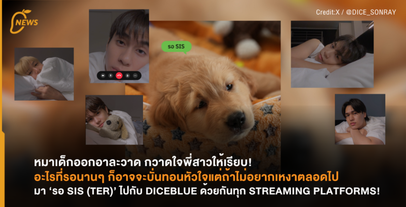 หมาเด็กออกอาละวาด กวาดใจพี่สาวให้เรียบ! อะไรที่รอนานๆ ก็อาจจะบั่นทอนหัวใจ แต่ถ้าไม่อยากเหงาตลอดไปมา ‘รอ SIS (TER)’ ไปกับ DICEBLUE ด้วยกันทุก STREAMING PLATFORMS!